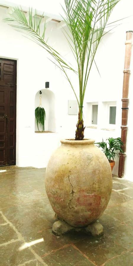Appartement La Fuente 14, Casa Solariega En Pleno Centro à Vejer de la Frontera Extérieur photo